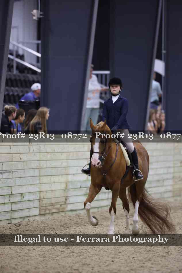 Proof 23R13_08772