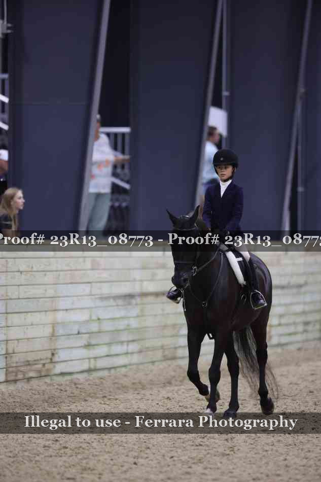 Proof 23R13_08773