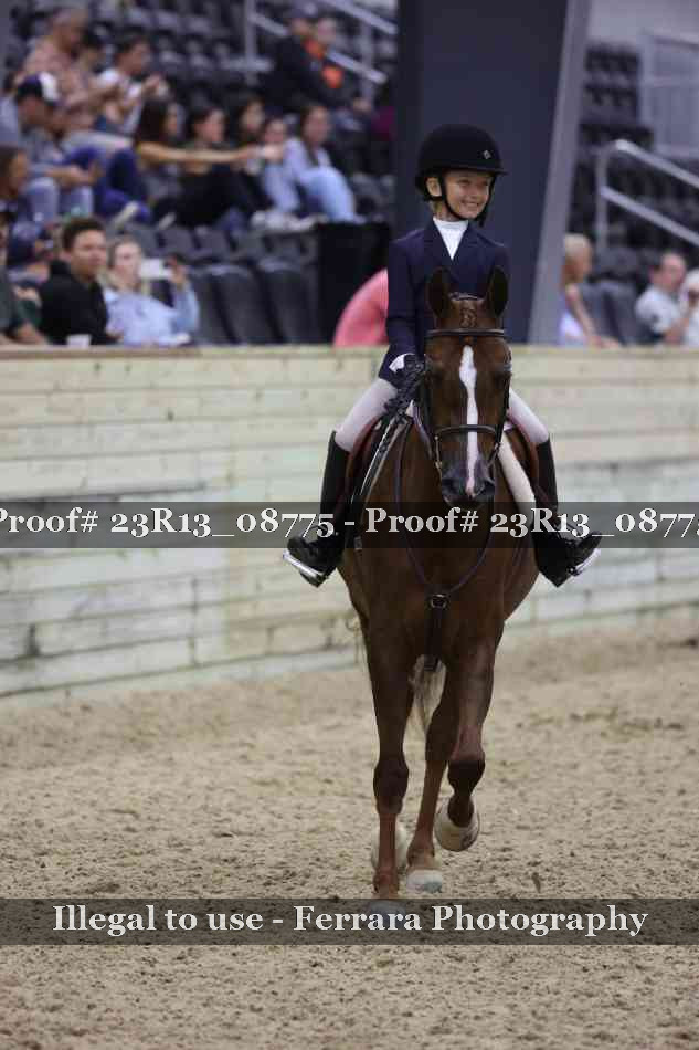Proof 23R13_08775