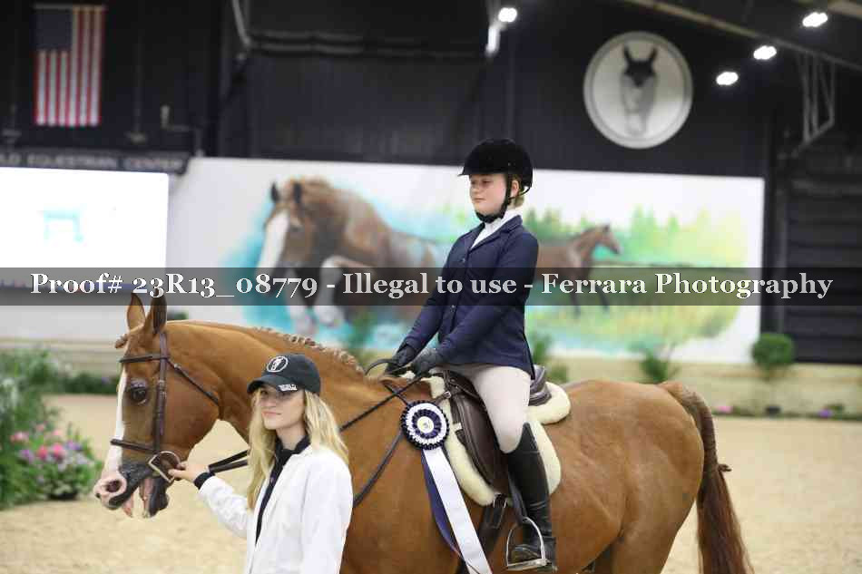 Proof 23R13_08779