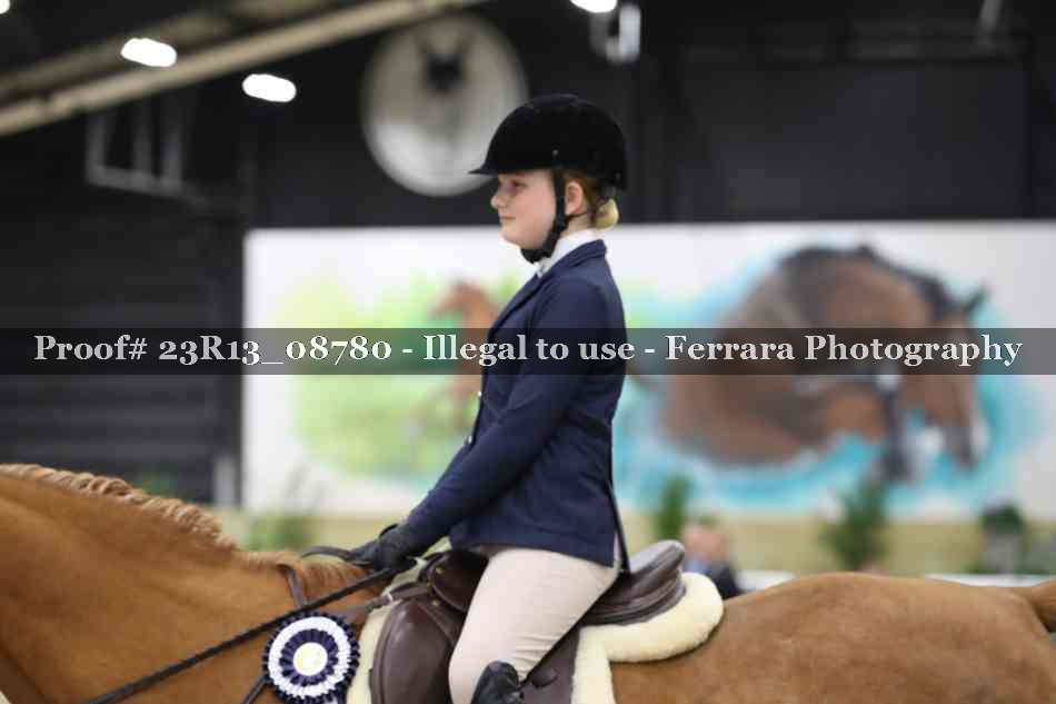 Proof 23R13_08780