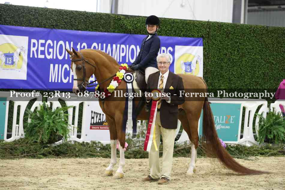 Proof 23R13_08783