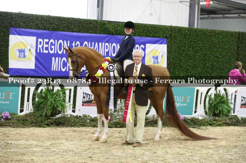 Proof 23R13_08784