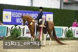 23R13_08784 proof