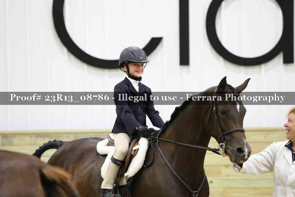 Proof 23R13_08786