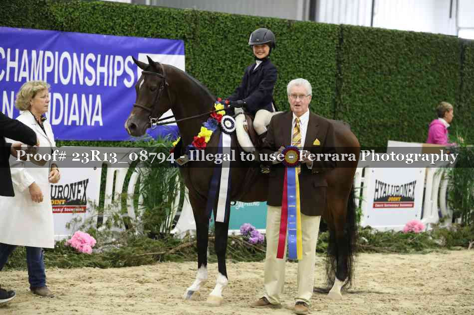 Proof 23R13_08794