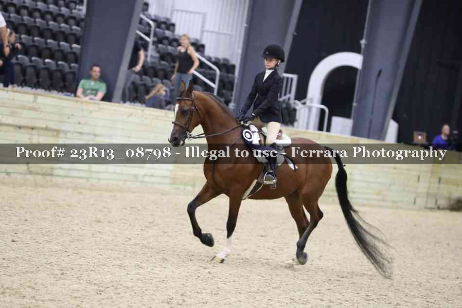 Proof 23R13_08798