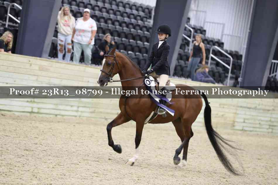 Proof 23R13_08799