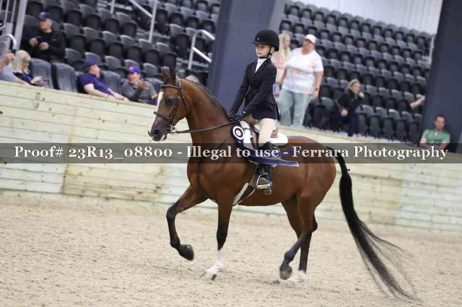 Proof 23R13_08800