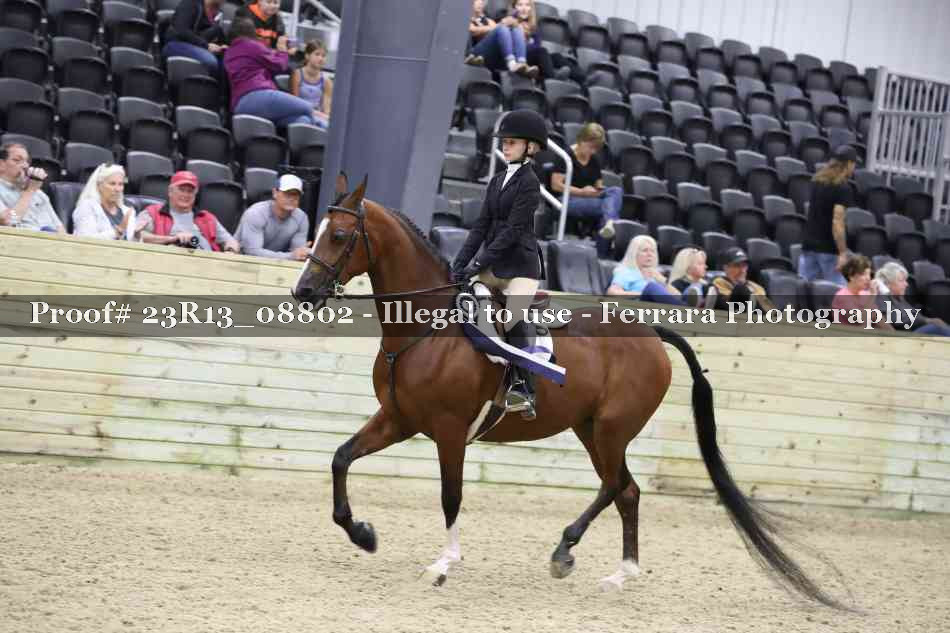 Proof 23R13_08802