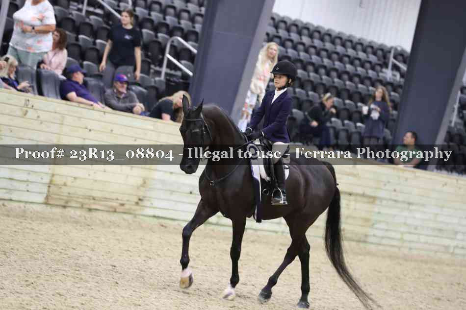 Proof 23R13_08804