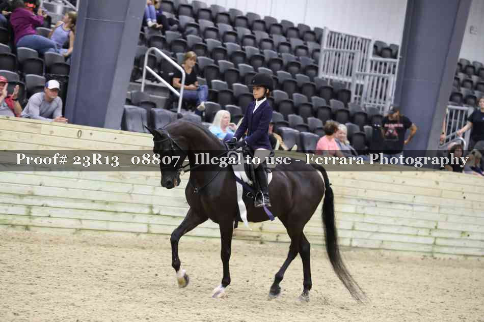 Proof 23R13_08807