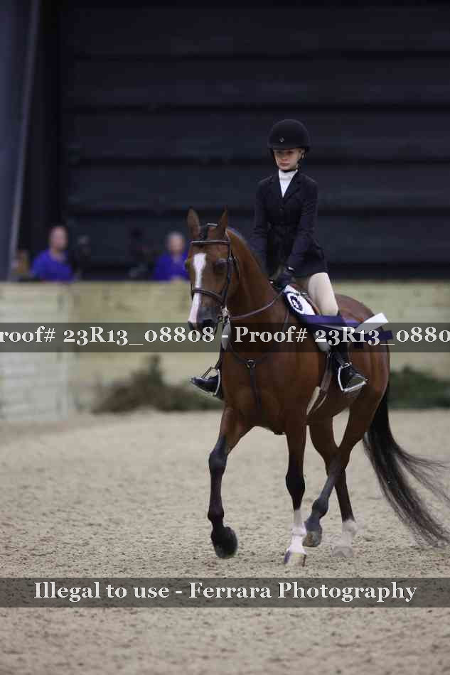 Proof 23R13_08808