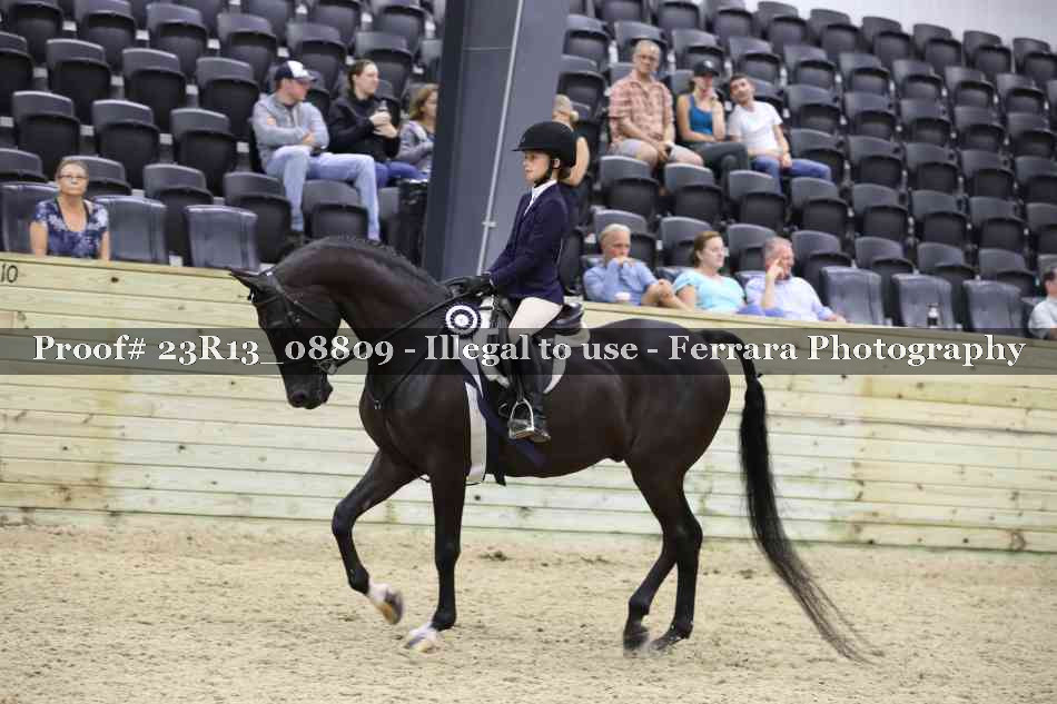 Proof 23R13_08809