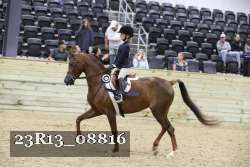 23R13_08816 proof