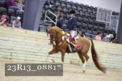 23R13_08817 proof