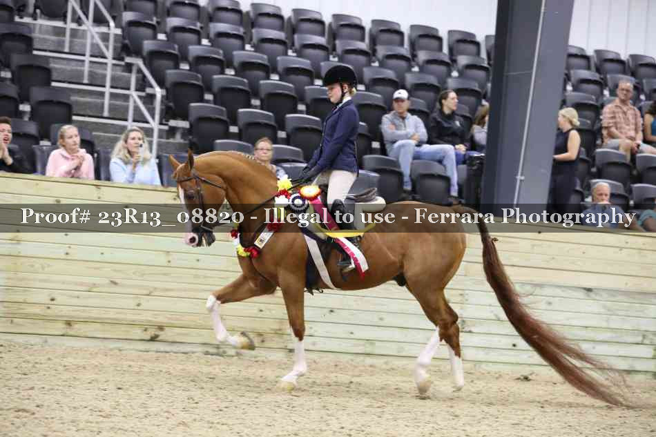 Proof 23R13_08820