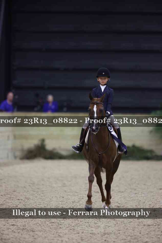 Proof 23R13_08822