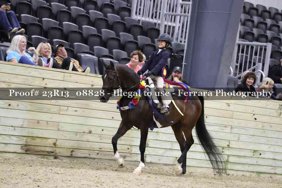 Proof 23R13_08828