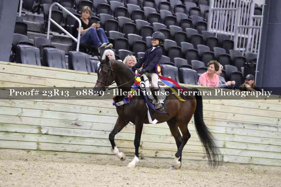 Proof 23R13_08829