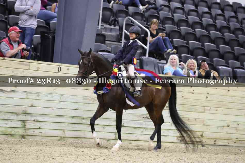 Proof 23R13_08830
