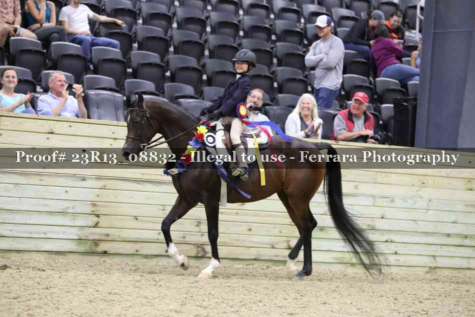 Proof 23R13_08832