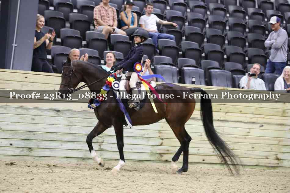 Proof 23R13_08833