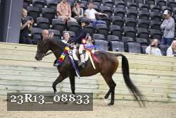 23R13_08833 proof