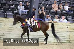 23R13_08834 proof