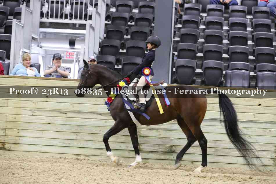 Proof 23R13_08835