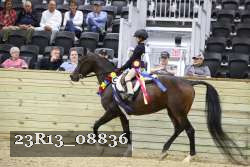 23R13_08836 proof