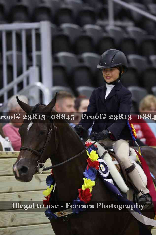 Proof 23R13_08845