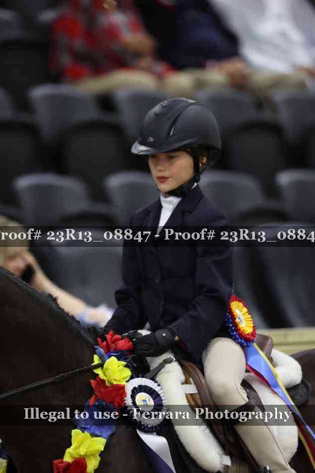 Proof 23R13_08847