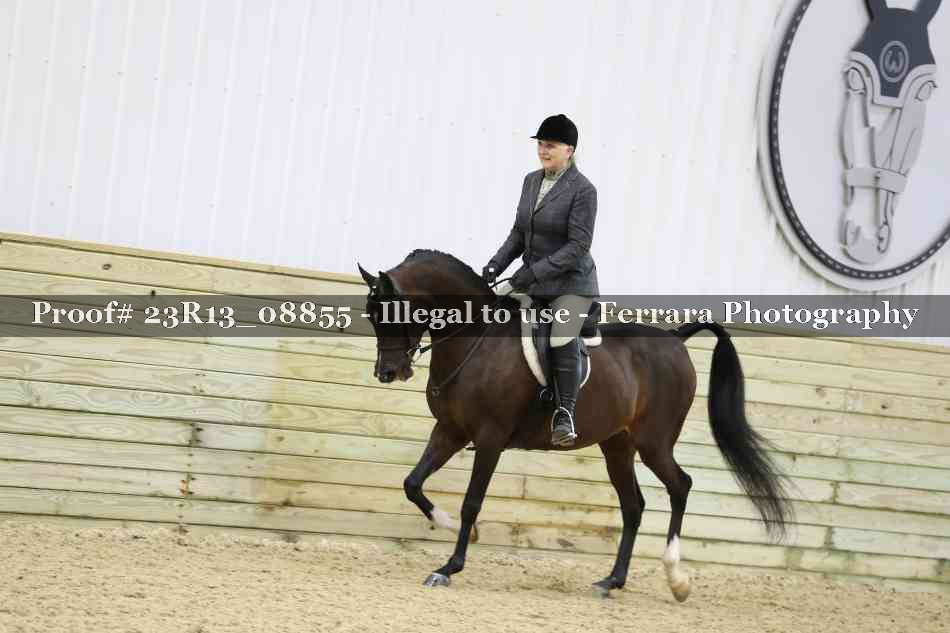 Proof 23R13_08855