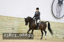23R13_08855 proof
