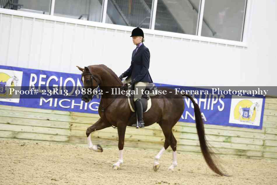 Proof 23R13_08862