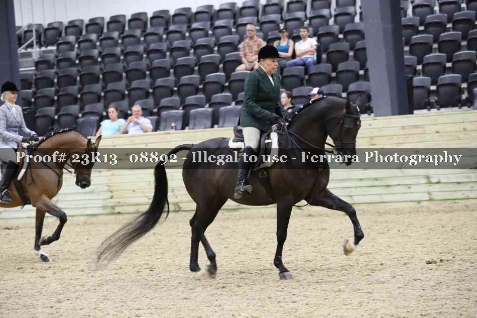 Proof 23R13_08892