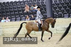 23R13_08893 proof