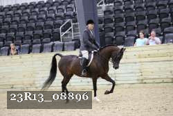 23R13_08896 proof