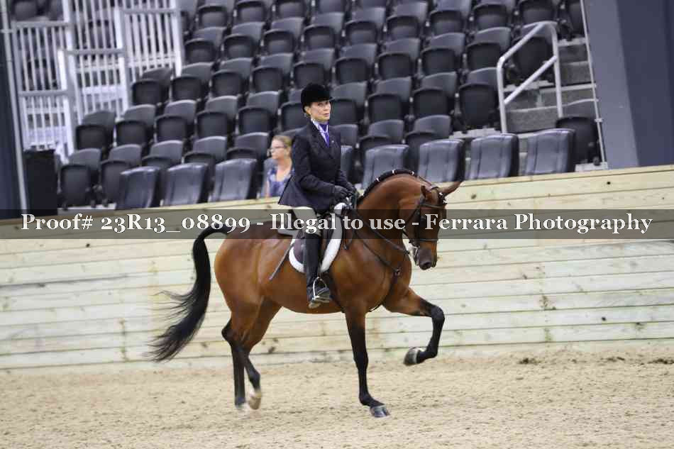 Proof 23R13_08899