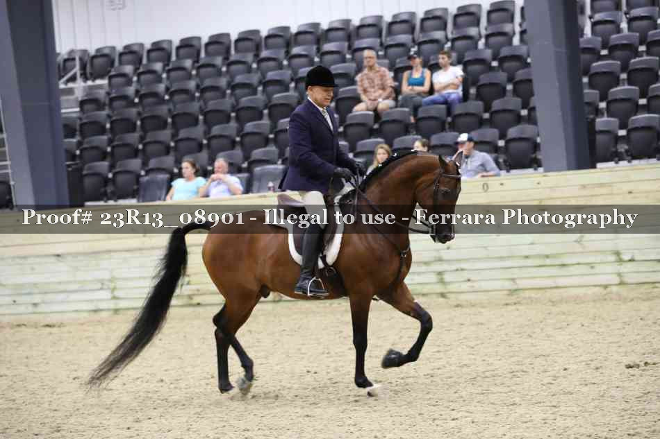 Proof 23R13_08901
