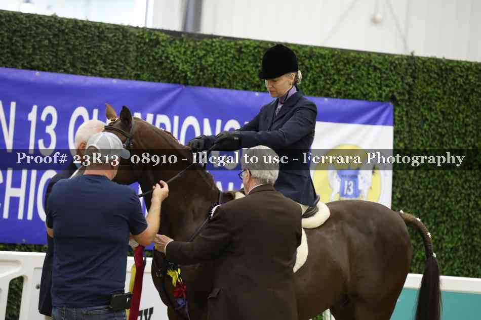 Proof 23R13_08910
