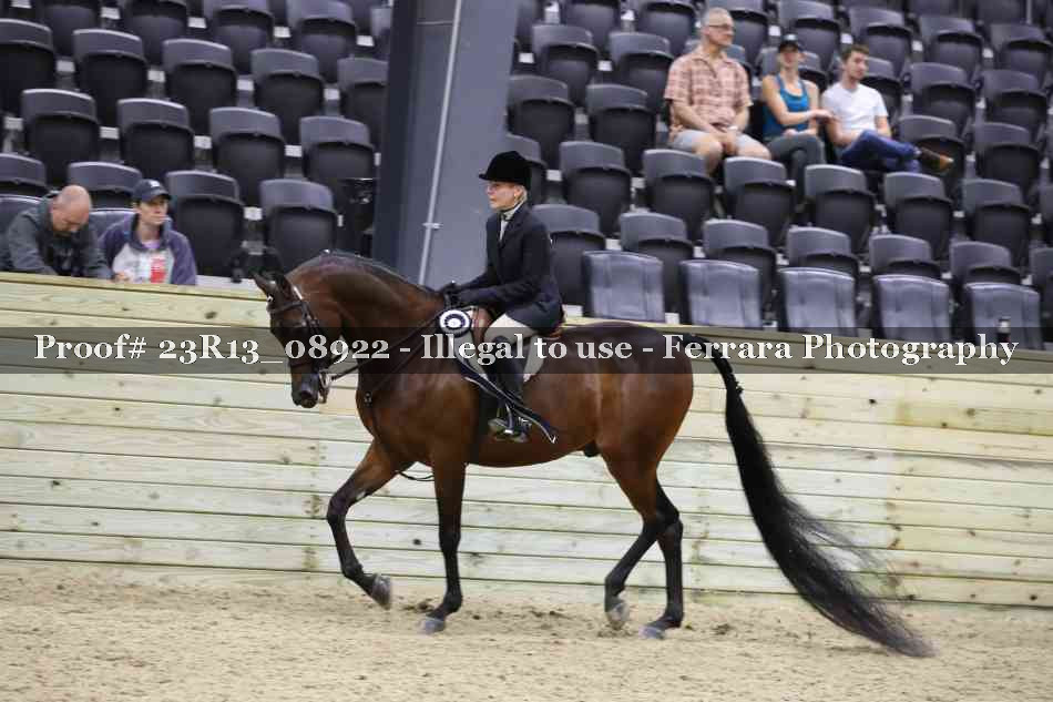 Proof 23R13_08922