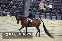 23R13_08922 proof