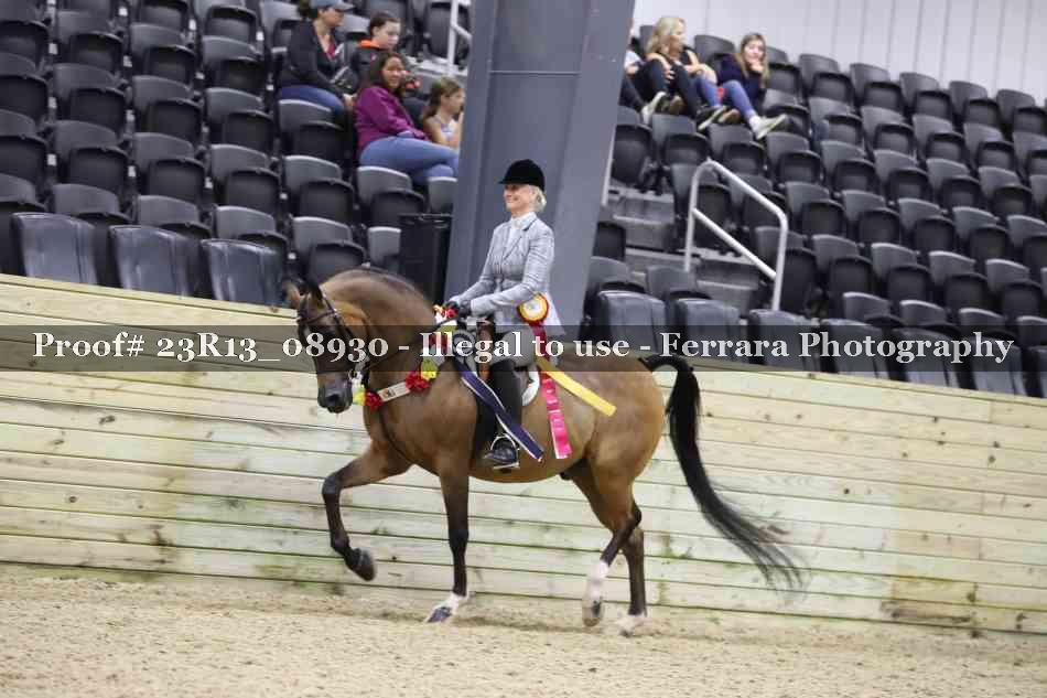 Proof 23R13_08930