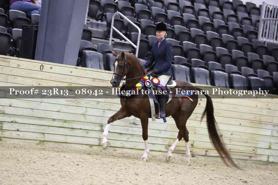 Proof 23R13_08942