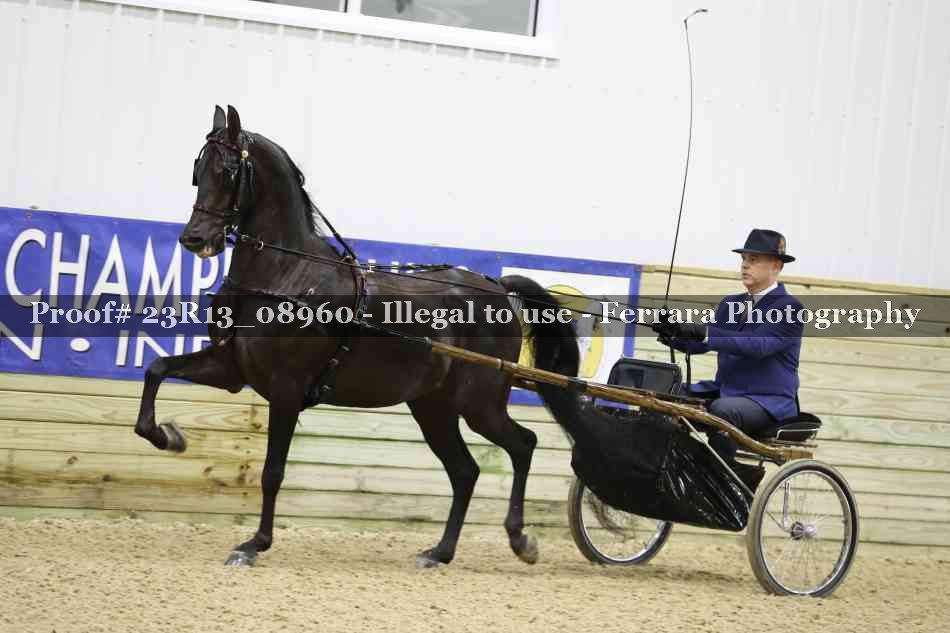 Proof 23R13_08960