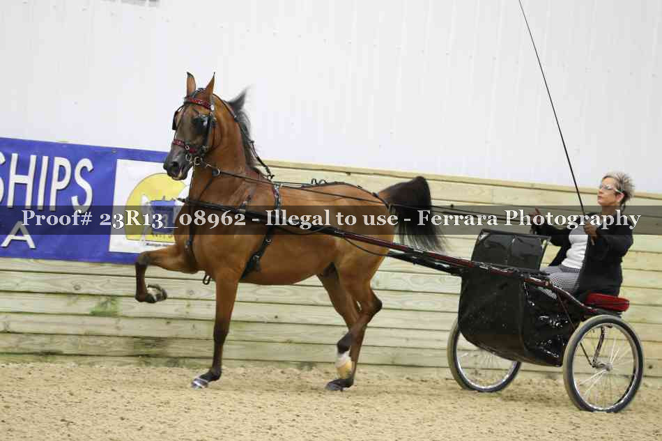 Proof 23R13_08962