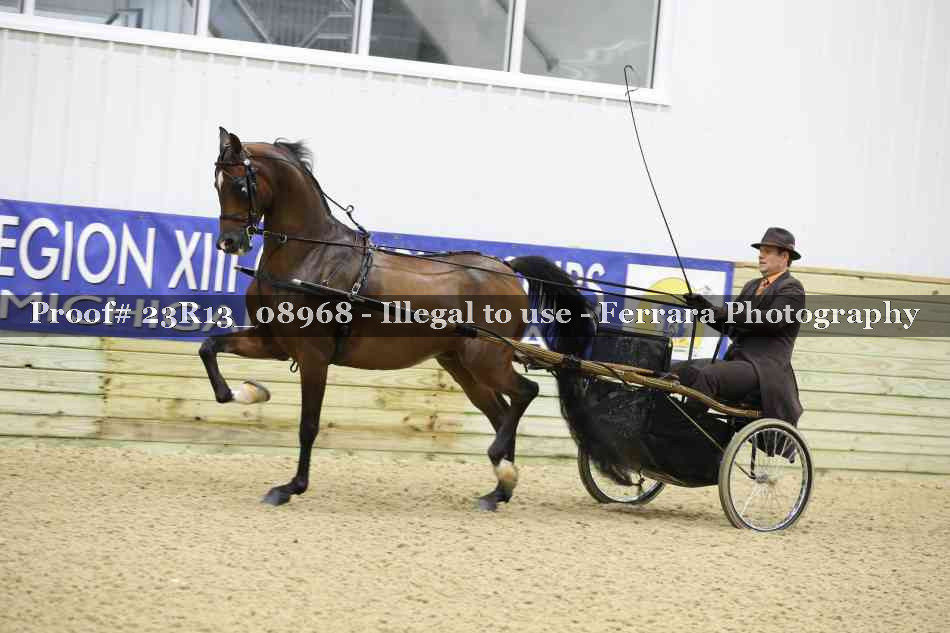 Proof 23R13_08968
