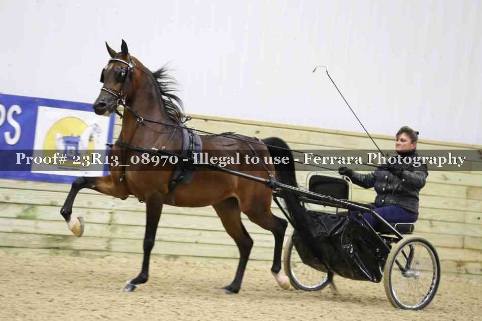 Proof 23R13_08970